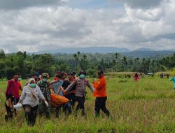 Hari Keenam Pencarian Tim SAR Gabungan, Korban Hanyut Banjir Bandang di Sungai Aek Koronok Ditemukan