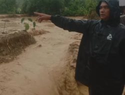 Breaking news; Sungai Aek Koronok dan Batang Jember Meluap, 55 Rumah Terendam, 1 Warga Hanyut