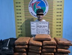 Tim Elang Timur Polres Pasaman Amankan  Kurir Ganja Asal Sijunjung, 21 Paket Besar Disita