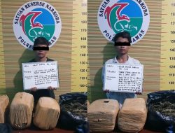 Lewat Jalan Lintas Sumatera, Dua Kurir Ganja Dibekuk Polsek Bonjol, 23 Kg Barang Bukti Diamankan